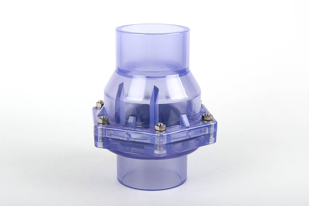 广宗透明翻板式止回阀